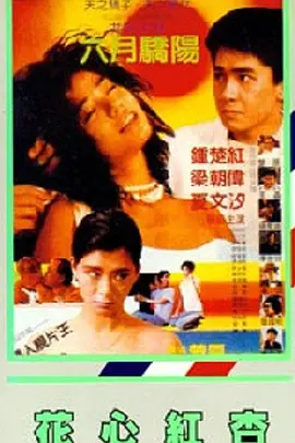 邪恶黄色小说