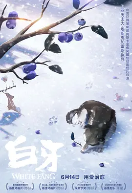 国产福利一区二区在线观看