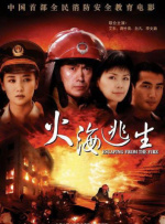 国产91精品在线播放