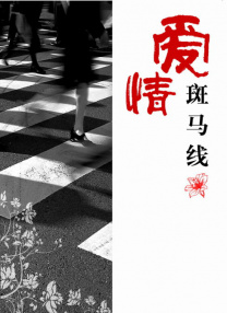 国产精品网站在线进入