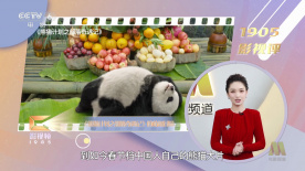 www精品视频